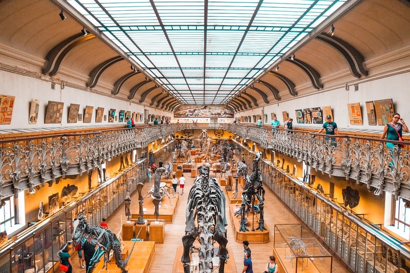 Brachiosaurus